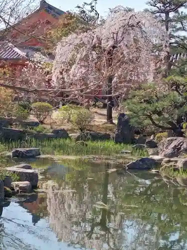 蓮華王院（三十三間堂）(京都府)
