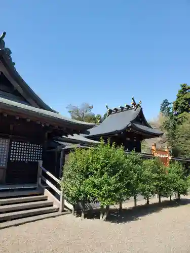 鷲宮神社の本殿