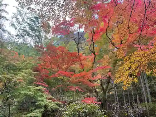 神峯山寺(大阪府)