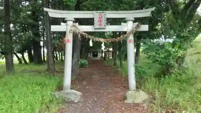 大杉神社(栃木県)