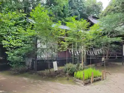 氷川女體神社のその他建物