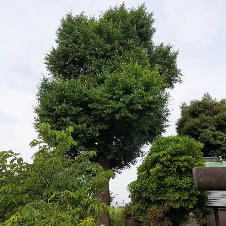 青龍神社(東京都)