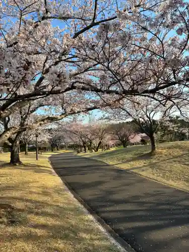 東本願寺本廟 牛久浄苑（牛久大仏）(茨城県)