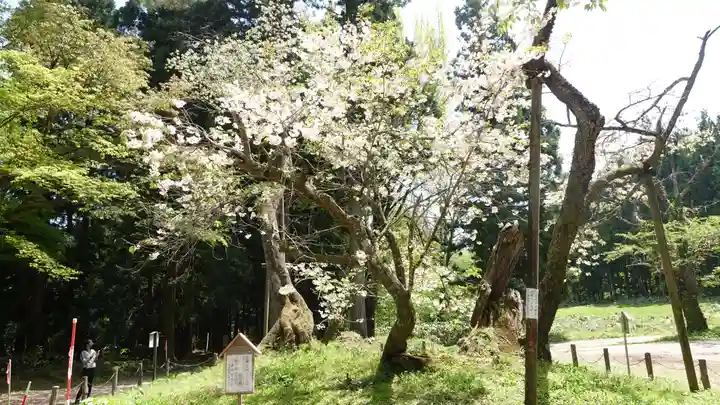 磐椅神社(福島県)
