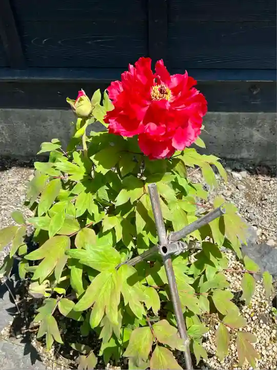 地持院(静岡県)