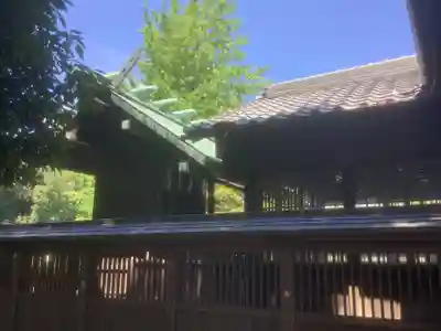 犬山神社の本殿・本堂