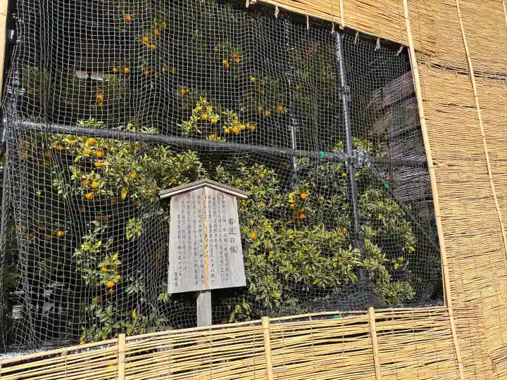 平安神宮(京都府)