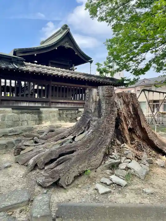 千形神社の{uncategorized: "未分類", other: "その他", undefined: "問題あり", building: "その他建物", grave: "お墓", sacred_gate: "鳥居", guardian: "狛犬", statue: "像", buddha: "仏像", history: "歴史", nature: "自然", garden: "庭園", animal: "動物", pagoda: "塔", temizu: "手水舎", mountain_gate: "山門・神門", sanctuary: "本殿・本堂", subordinate: "末社・摂社", art: "芸術", scenery: "景色", jizo: "地蔵", ema: "絵馬", goshuin: "御朱印", omikuji: "おみくじ", items: "授与品その他", amulet: "お守り", goshuincho: "御朱印帳", eats: "食事", festival: "お祭り", votive_dance: "神楽", shichigosan: "七五三参", wedding: "結婚式", experience: "体験その他", initially: "初詣", around: "周辺", anti_infection: "感染症対策"}