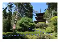 国宝 大法寺の庭園