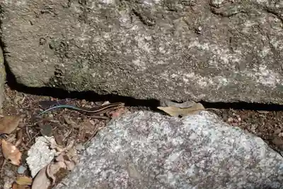 崇道神社のその他建物
