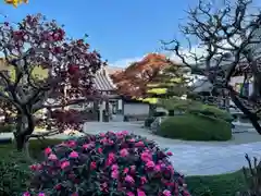 梅香寺の庭園