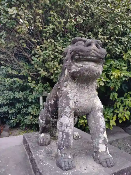 鶴岡八幡宮の狛犬