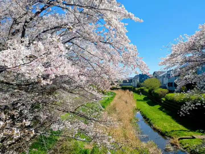 小金井神社(東京都)