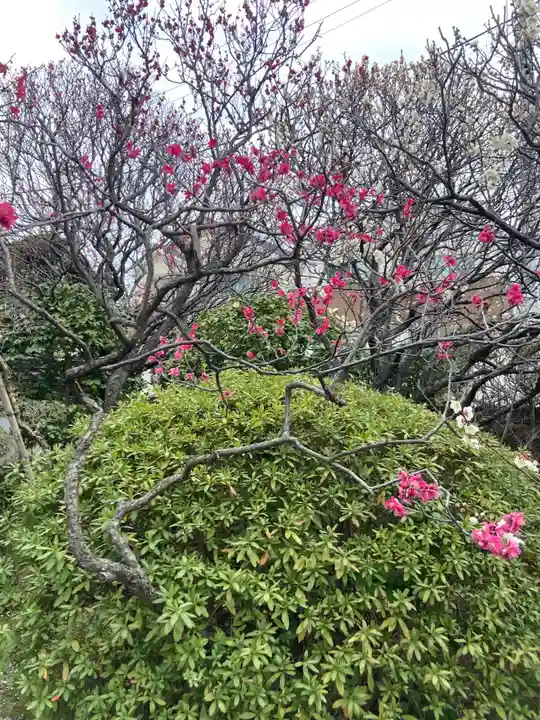 薬師院(神奈川県)