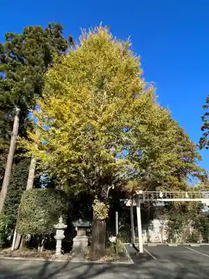 高麗神社(埼玉県)