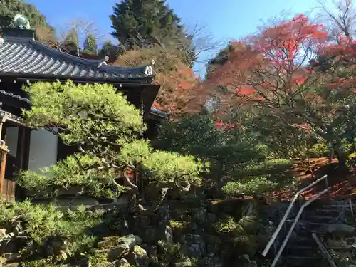 霊鑑寺門跡の庭園