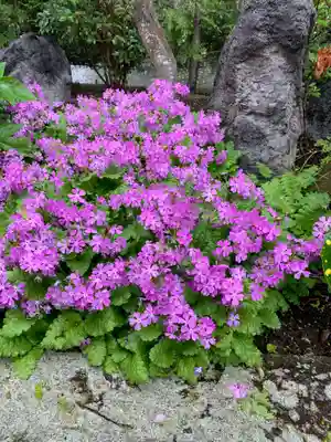 神祇遥拝殿の自然