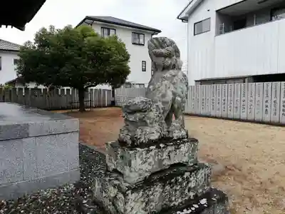 蛭子神社（沖洲蛭子神社）の狛犬