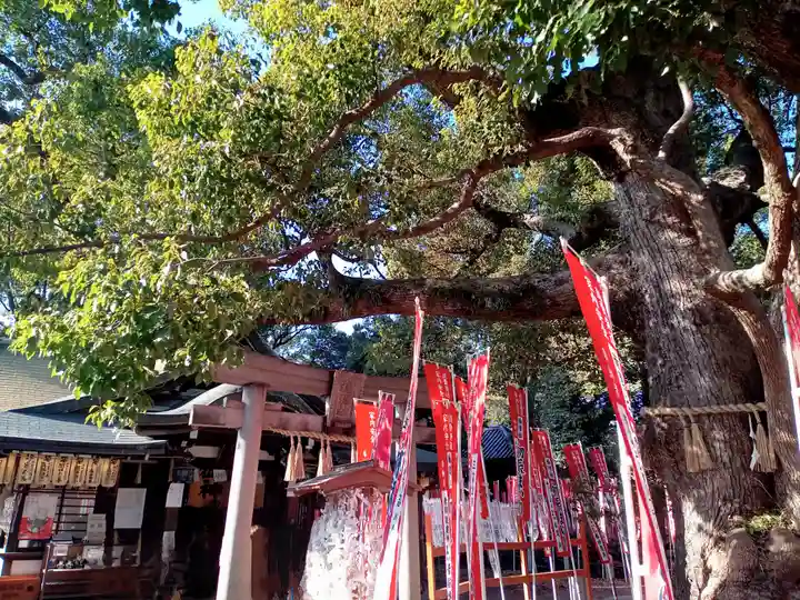 楠珺社(住吉大社末社)(大阪府)