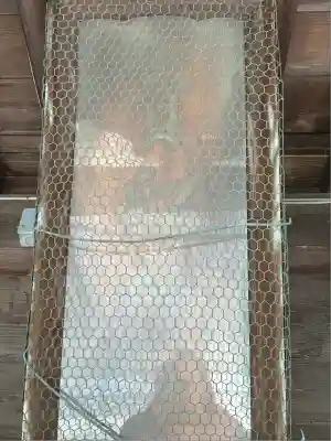 貴船神社(静岡県)