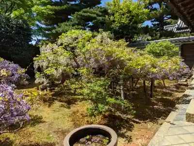 長慶院(京都府)