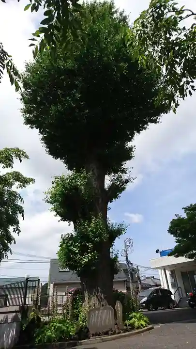 乗誓寺のその他建物