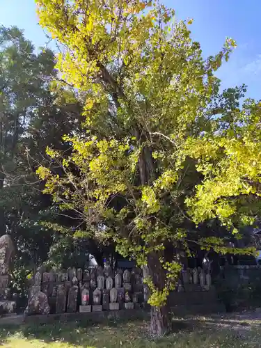 雪蹊寺(高知県)