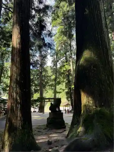 室生龍穴神社(奈良県)