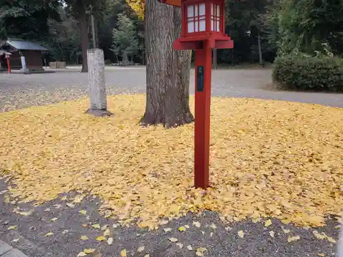 鷲宮神社(埼玉県)