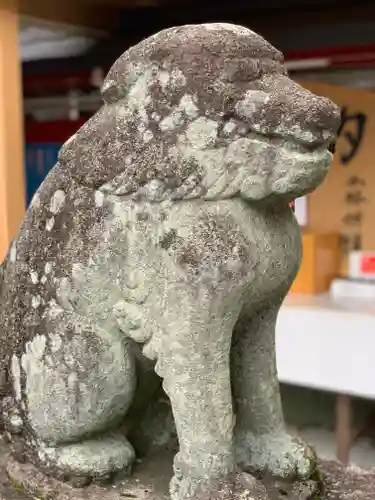 飛驒天満宮の狛犬