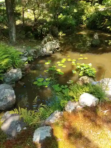 護国之寺の庭園