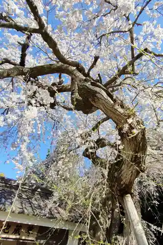 能満寺のその他建物