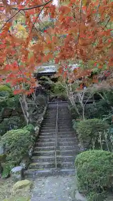 勝持寺（花の寺）(京都府)