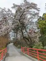 正法寺(京都府)