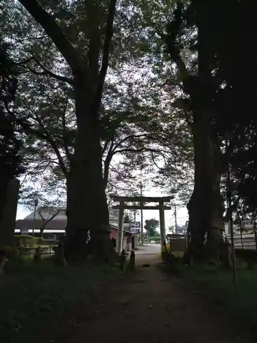 智賀都神社の鳥居