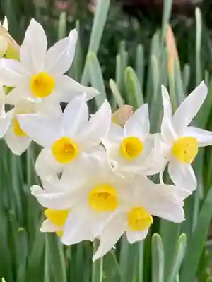 大避神社(兵庫県)