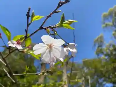 彦嶽宮(熊本県)