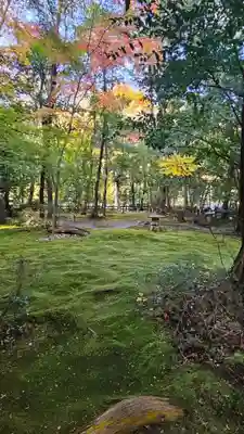 野宮神社(京都府)