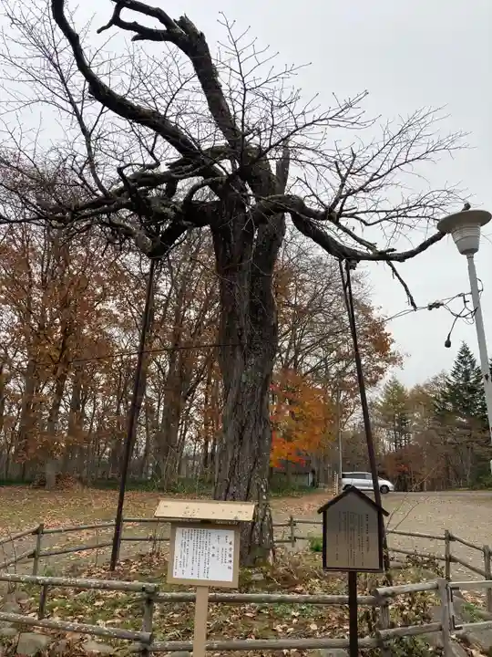弟子屈神社(北海道)