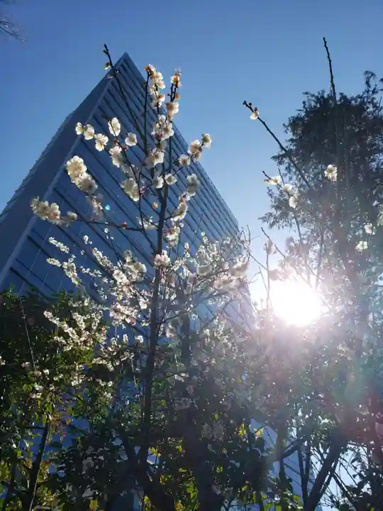 東郷神社(東京都)