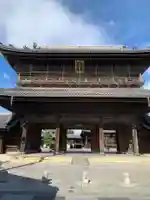 大通寺(長浜御坊)の山門・神門