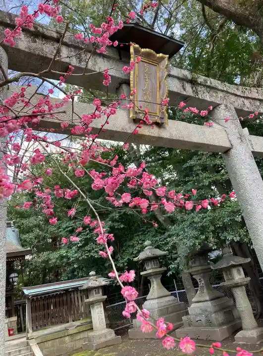 北野天満宮(京都府)