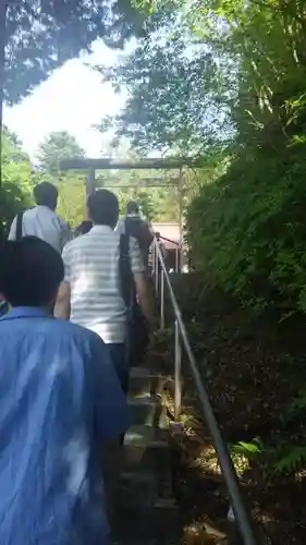 駿河神社の鳥居