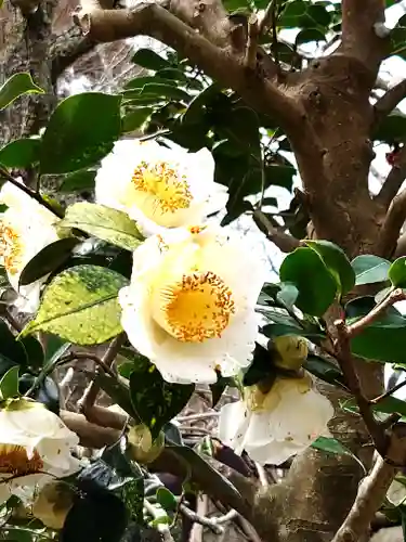 瑞泉寺(神奈川県)