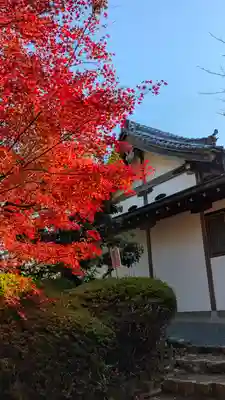 常照寺(京都府)