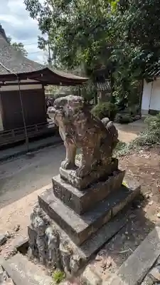 宇治上神社の狛犬