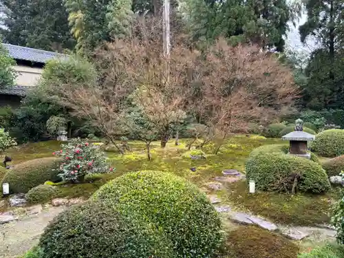 雲龍院の庭園