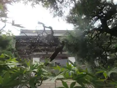 妙高院(神奈川県)