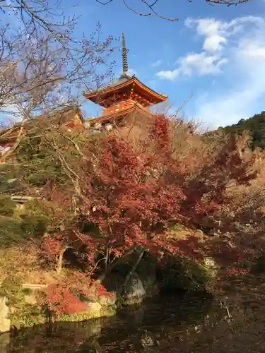 清水寺(京都府)