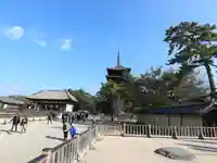 興福寺のその他建物